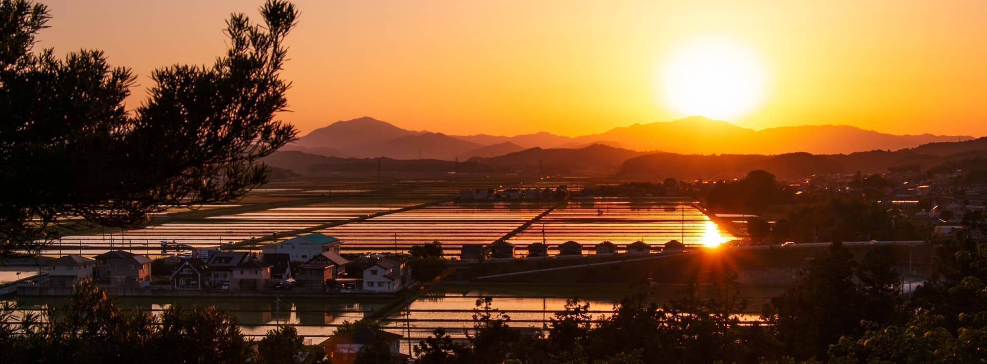田丸城跡からの夕日